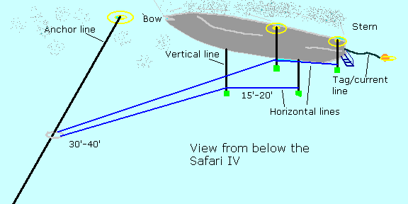 down line system